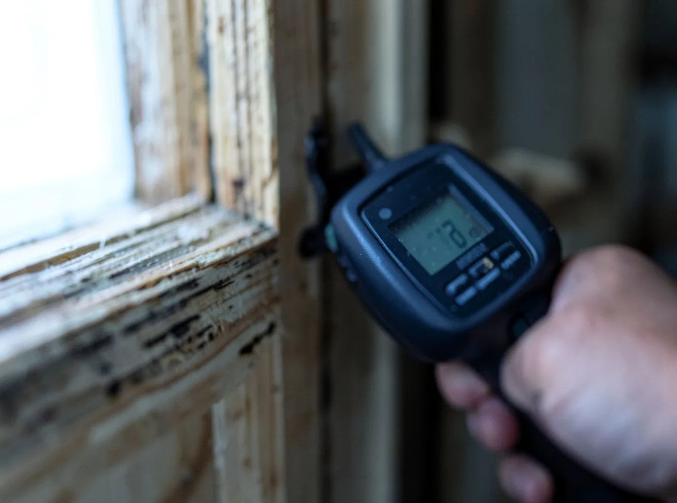 Moisture Inspection And Documentation in Ashville, NY